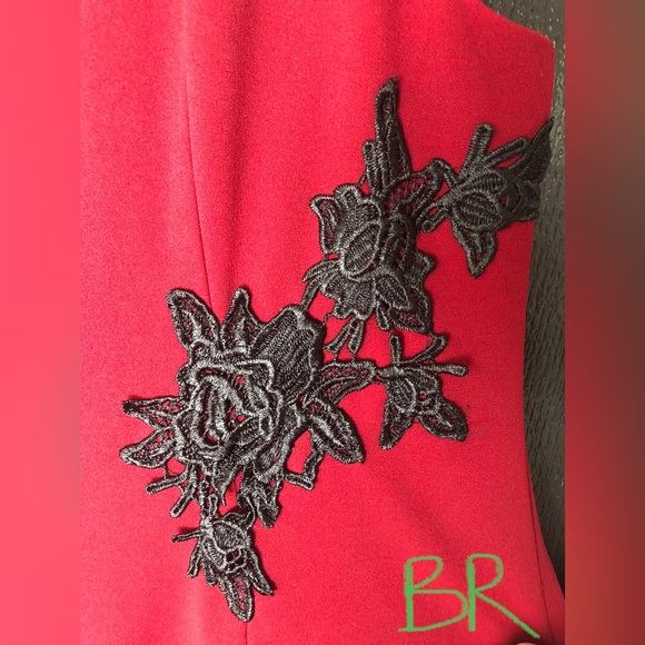 LIZ CLAIBORNE Dress Women’s 18 Red Garnet Red with Black Lace Appliqué - Picture 6 of 10